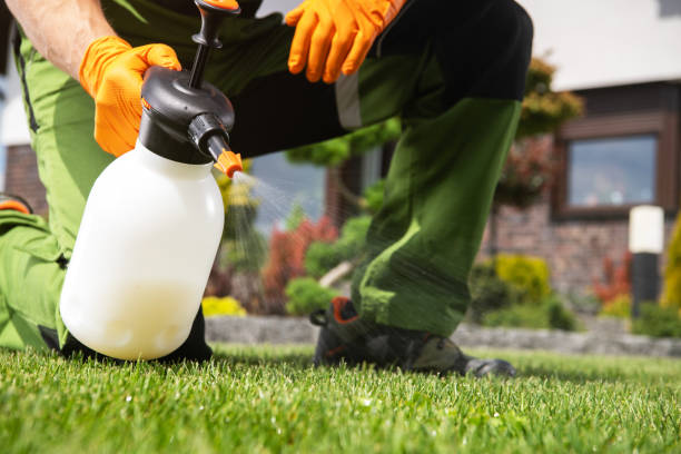 Best Pest Prevention Services  in Frontenac, MO