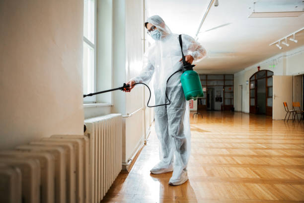 Best Flea Control Services  in Frontenac, MO
