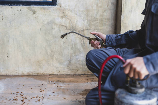 Best Exterminator Services  in Frontenac, MO